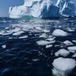 icebergs in the water