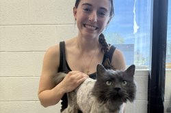 Cat-lost-for-three-years-turns-up-at-McDonalds-10-miles-from-home