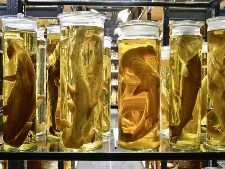 f.elconfidencial.com_original_407_80d_7ff_40780d7ff5428c4a8977fe795109af39