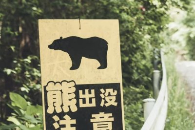 Golf-tournament-cancels-opening-day-due-to-bear-on-the-course