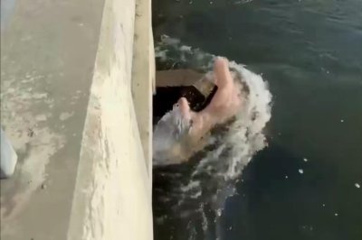 Reported-person-stuck-in-California-canal-turns-out-to-be-blow-up-doll