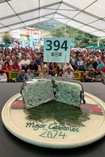 Worlds-most-expensive-cheese-sells-for-42232