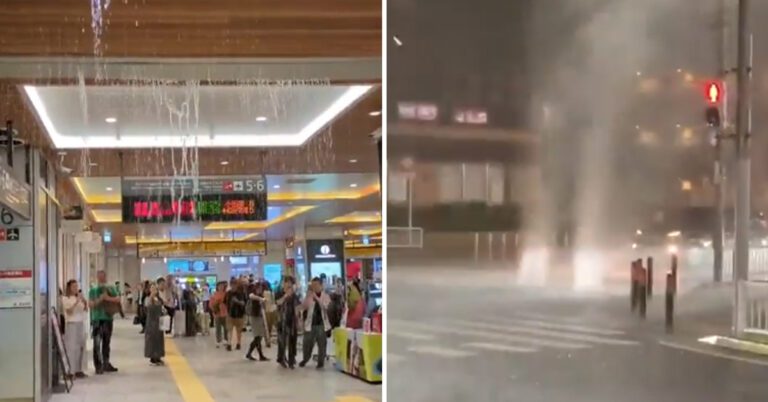 sewerboom_natural_thumbnail