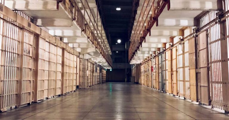 robberygrandson_natural_thumbnail (1)