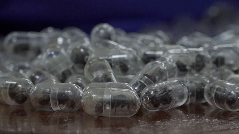 skynews-kenya-ap_7221271