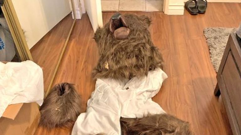skynews-bear-costume_6747953